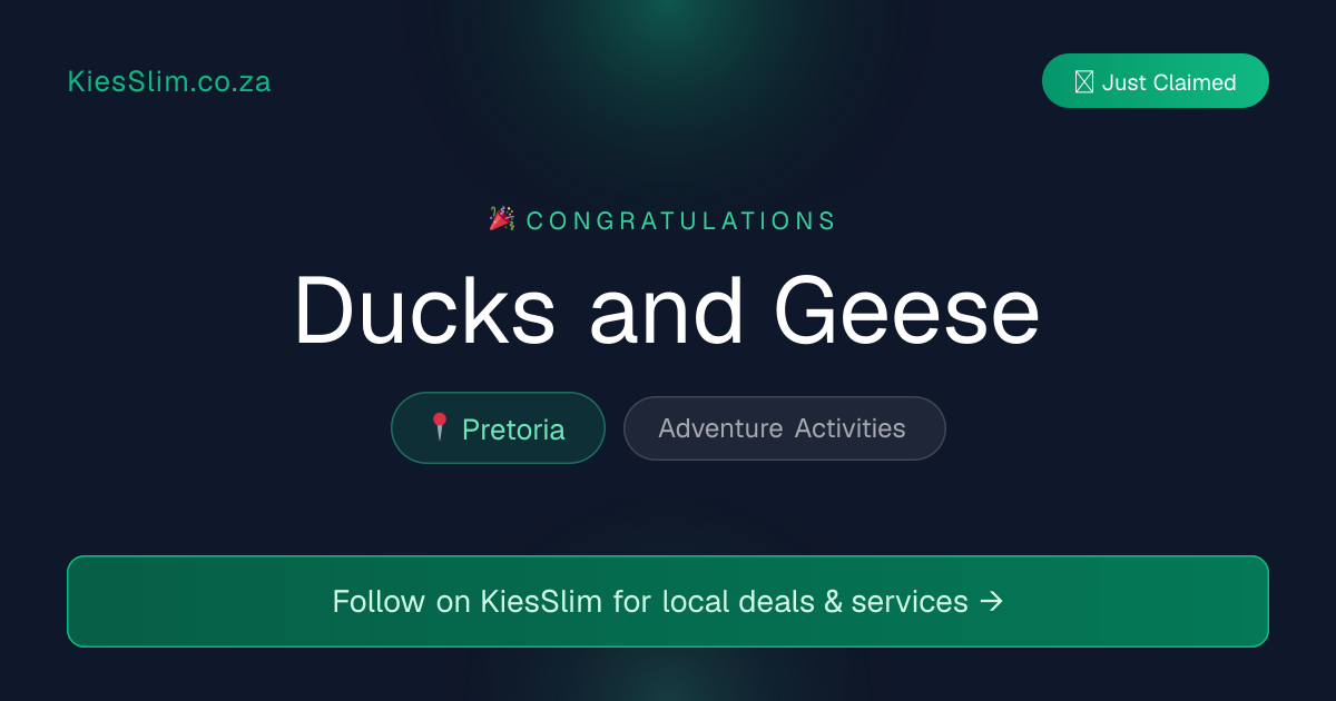 Ducks and Geese