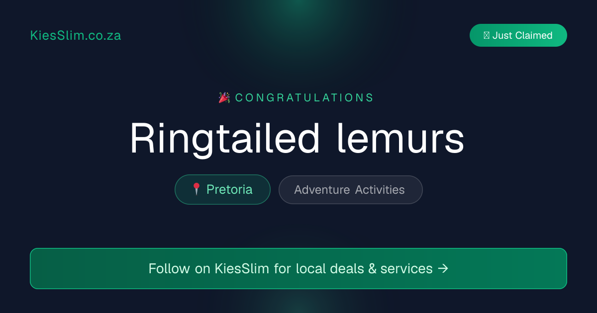 Ringtailed lemurs